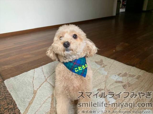 宮城県丸森町 お部屋指定の遺品整理 スマイルライフみやぎブログ
